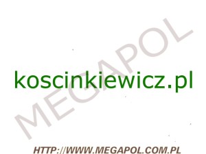 DOMENY - Krajowe - Domena - koscinkiewicz.pl