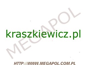 DOMENY - Krajowe - Domena - kraszkiewicz.pl
