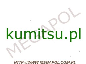 DOMENY - Krajowe - Domena - kumitsu.pl