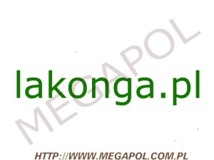 DOMENY - Krajowe - Domena - lakonga.pl