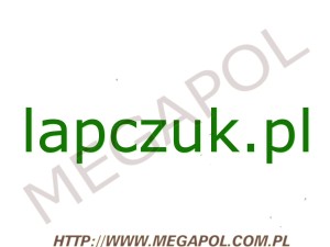 DOMENY - Krajowe - Domena - lapczuk.pl