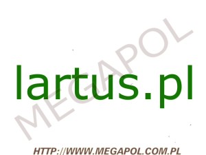 DOMENY - Krajowe - Domena - lartus.pl