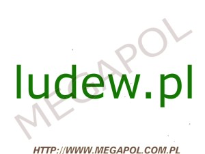 DOMENY - Krajowe - Domena - ludew.pl