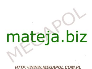 DOMENY - Krajowe - Domena - mateja.biz