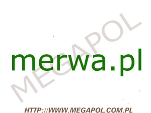 DOMENY - Krajowe - Domena - merwa.pl