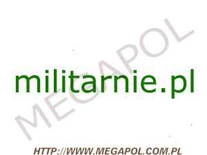 DOMENY - Krajowe - Domena - militarnie.pl