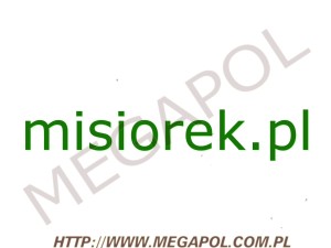 DOMENY - Krajowe - Domena - misiorek.pl