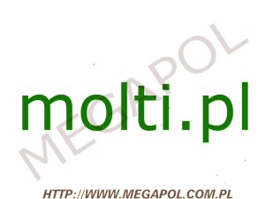 DOMENY - Krajowe - Domena - molti.pl