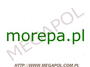 DOMENY - Krajowe - Domena - morepa.pl