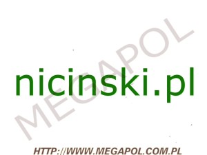 DOMENY - Krajowe - Domena - nicinski.pl