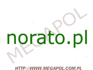 DOMENY - Krajowe - Domena - norato.pl