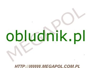 DOMENY - Krajowe - Domena - obludnik.pl