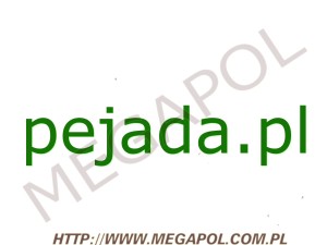 DOMENY - Krajowe - Domena - pejada.pl