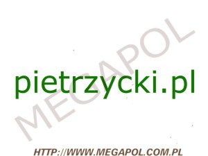 DOMENY - Krajowe - Domena - pietrzycki.pl