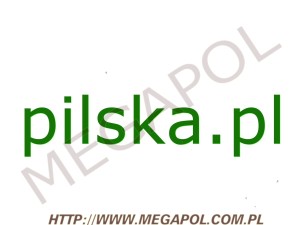 DOMENY - Krajowe - Domena - pilska.pl