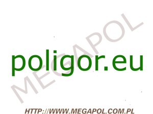 DOMENY - Krajowe - Domena - poligor.eu