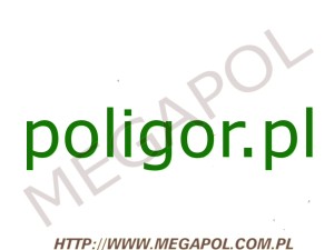 DOMENY - Krajowe - Domena - poligor.pl