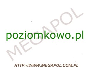 DOMENY - Krajowe - Domena - poziomkowo.pl