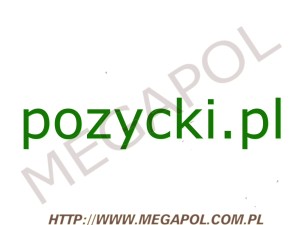 DOMENY - Krajowe - Domena - pozycki.pl