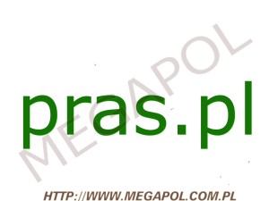 DOMENY - Krajowe - Domena - pras.pl