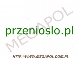 DOMENY - Krajowe - Domena - przenioslo.pl