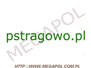 DOMENY - Krajowe - Domena - pstragowo.pl