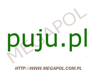 DOMENY - Krajowe - Domena - puju.pl