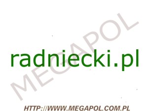 DOMENY - Krajowe - Domena - radniecki.pl