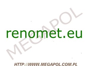 DOMENY - Krajowe - Domena - renomet.eu