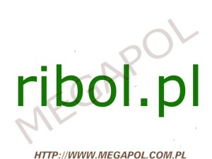DOMENY - Krajowe - Domena - ribol.pl