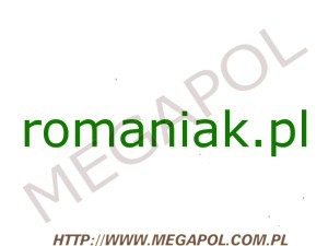 DOMENY - Krajowe - Domena - romaniak.pl