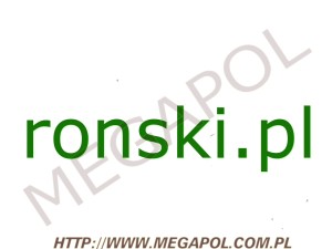 DOMENY - Krajowe - Domena - ronski.pl