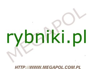 DOMENY - Krajowe - Domena - rybniki.pl