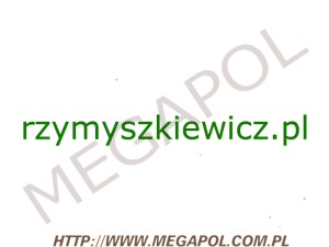 DOMENY - Krajowe - Domena - rzymyszkiewicz.pl