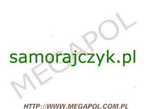 DOMENY - Krajowe - Domena - samorajczyk.pl