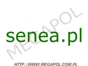 DOMENY - Krajowe - Domena - senea.pl