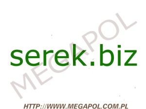 DOMENY - Krajowe - Domena - serek.biz