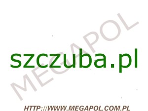 DOMENY - Krajowe - Domena - szczuba.pl