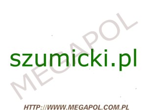 DOMENY - Krajowe - Domena - szumicki.pl