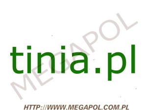 DOMENY - Krajowe - Domena - tinia.pl