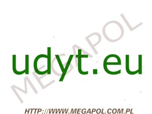 DOMENY - Krajowe - Domena - udyt.eu