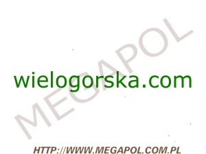 DOMENY - Krajowe - Domena - wielogorska.com