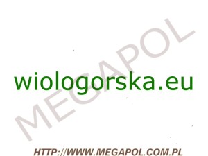 DOMENY - Krajowe - Domena - wiologorska.eu