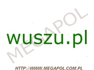DOMENY - Krajowe - Domena - wuszu.pl