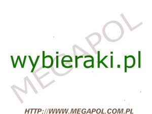DOMENY - Krajowe - Domena - wybieraki.pl