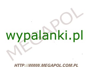 DOMENY - Krajowe - Domena - wypalanki.pl