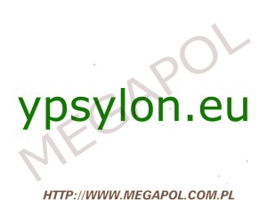 DOMENY - Krajowe - Domena - ypsylon.eu