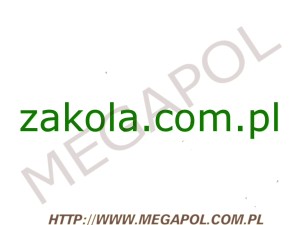 DOMENY - Krajowe - Domena - zakola.com.pl
