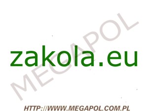 DOMENY - Krajowe - Domena - zakola.eu