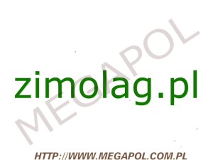 DOMENY - Krajowe - Domena - zimolag.pl